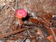 Image from 2004-01-16