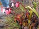 Image from 2004-01-22