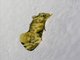 Fungus Moth (Moerarchis sp)