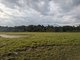 Arusha Swamp by Barbara Carr