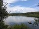 Small Momela Lake by Barbara Carr