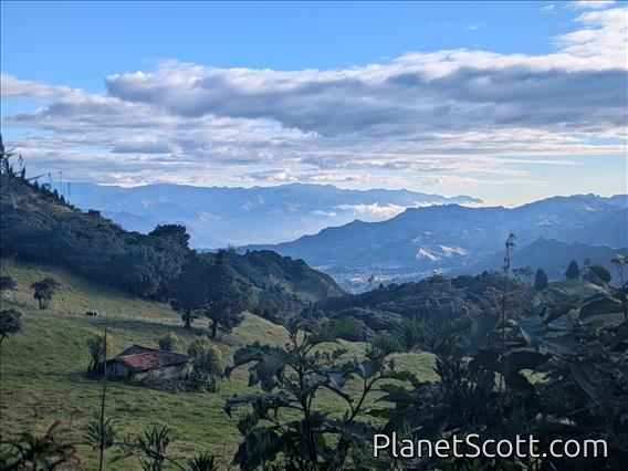 Tarqui Hills