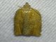 Orange Tortrix Moth (Argyrotaenia franciscana)