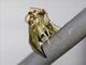 Macroglossine Sphinx Moth (Elibia sp)