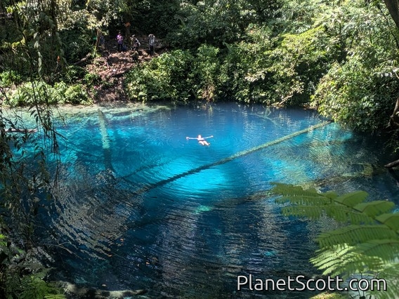 Barbara Swims in Blue Water