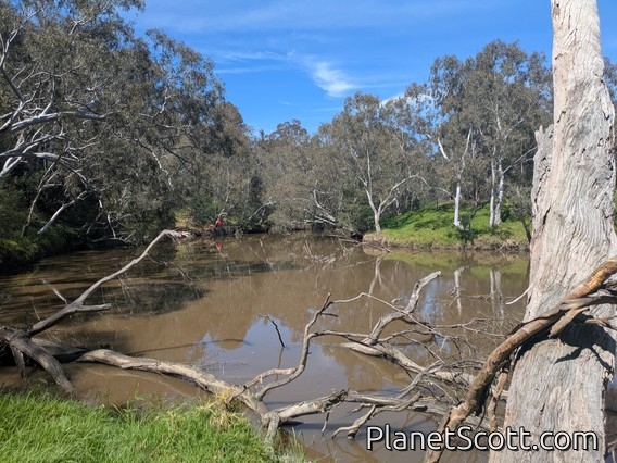 Yarra River