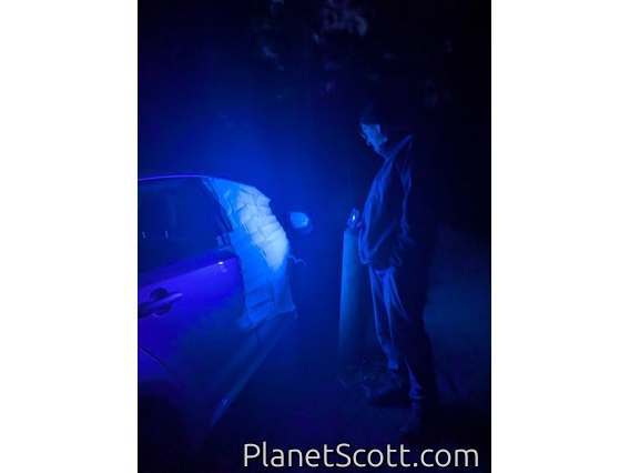 Attempt at Attracting Moths