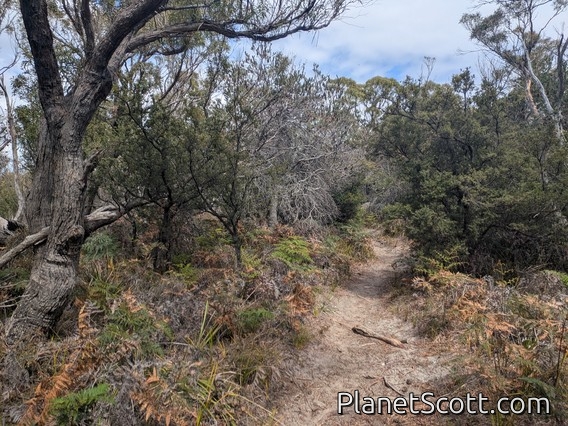 Freycinet National Park
