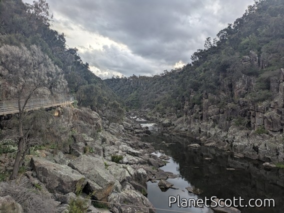 Launceston Gorge
