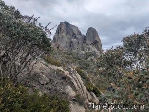 Mount Buffalo National Park