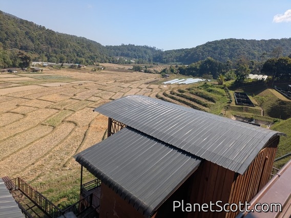 Doi Inthanon Village Area