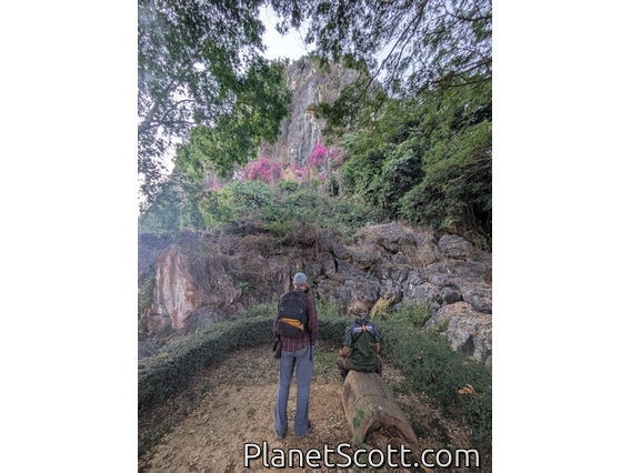 Wat Tham Phra Pha Khok