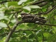 Image from 2026-04-08