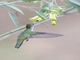 Image from 2026-04-10