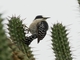 Image from 2026-04-10