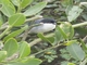 Image from 2026-04-10
