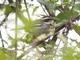 Image from 2026-04-10