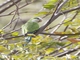 Image from 2026-04-10