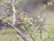 Image from 2026-04-10
