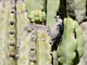 Image from 2026-04-10