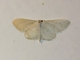 Image from 2026-04-10