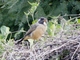 Image from 2026-04-11