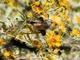 Image from 2026-04-11