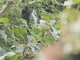 Image from 2026-04-11