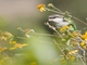 Image from 2026-04-11