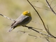 Image from 2026-04-11