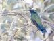 Image from 2026-04-12