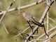 Image from 2026-04-12