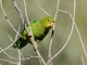 Image from 2026-04-12