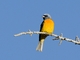 Image from 2026-04-12