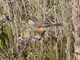 Image from 2026-04-12