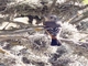 Rufous-bellied Bush-Tyrant (Myiotheretes fuscorufus)