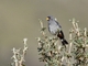 Image from 2026-04-12