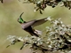 Image from 2026-04-12