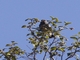 Image from 2026-04-12