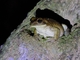 Image from 2026-04-13