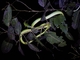 Image from 2026-04-13