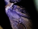Image from 2026-04-13