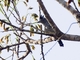 Image from 2026-04-15