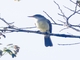 Image from 2026-04-15