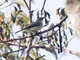 Image from 2026-04-15