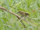 Image from 2026-04-16