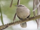 Image from 2026-04-16