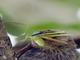 Image from 2026-04-16