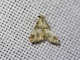 Crambid Snout Moth (Crambidae sp)