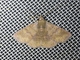Erebid Moth (Antiblemma sp)